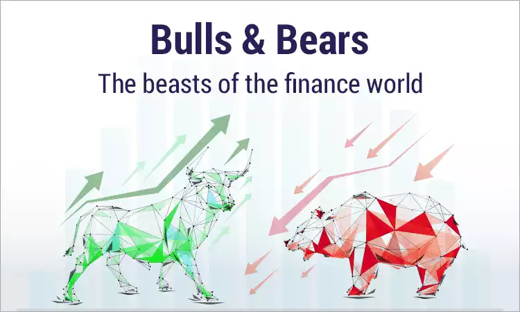 Bulls and bears: The beasts of the finance world Bulls and bears: The beasts of the finance world