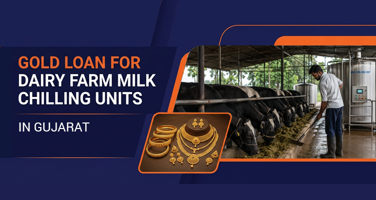 Gold Loan for Dairy Farm Expansion & Milk Chilling Units in Gujarat | IIFL Finance