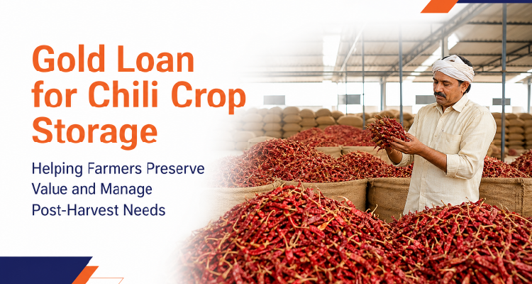 Chili Farming Finance Through Gold Loan for Chili Crop Storage
