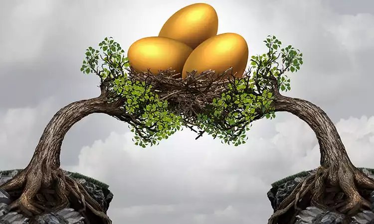 What Is the Difference Between Mutual Funds and Share Market? What Is the Difference Between Mutual Funds and Share Market?