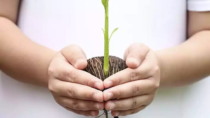 Why ELSS is best tax saving investments Why ELSS is best tax saving investments